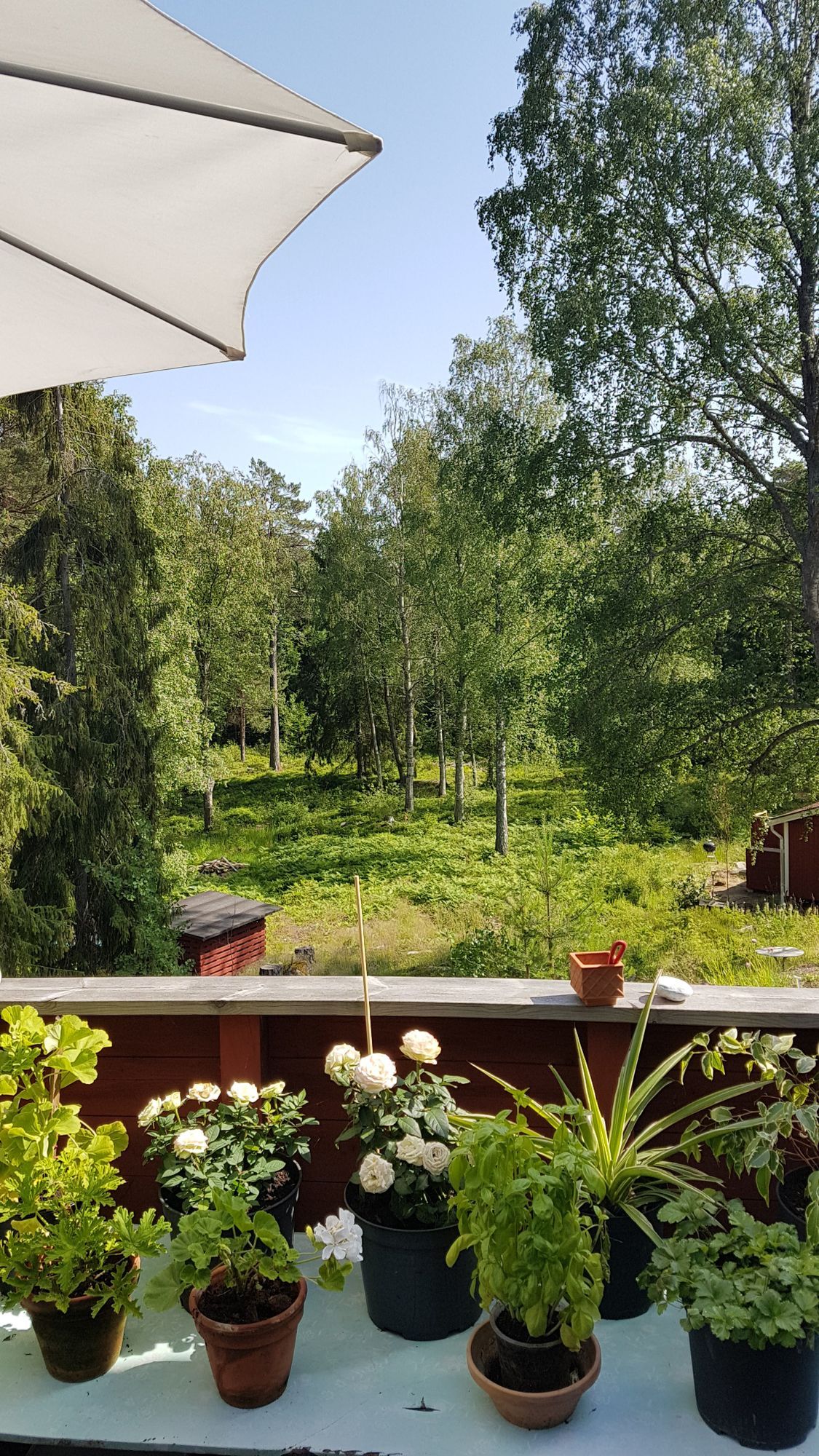 Sommarhus i skärgården – bild 22 av 24