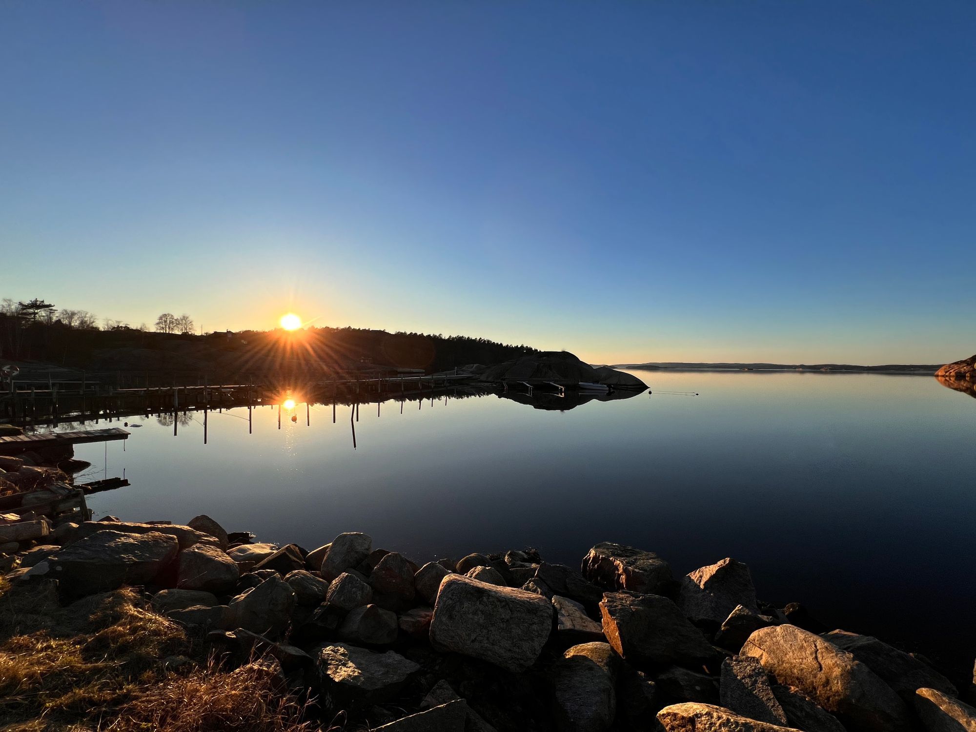 Skogsbrynet – bild 21 av 24