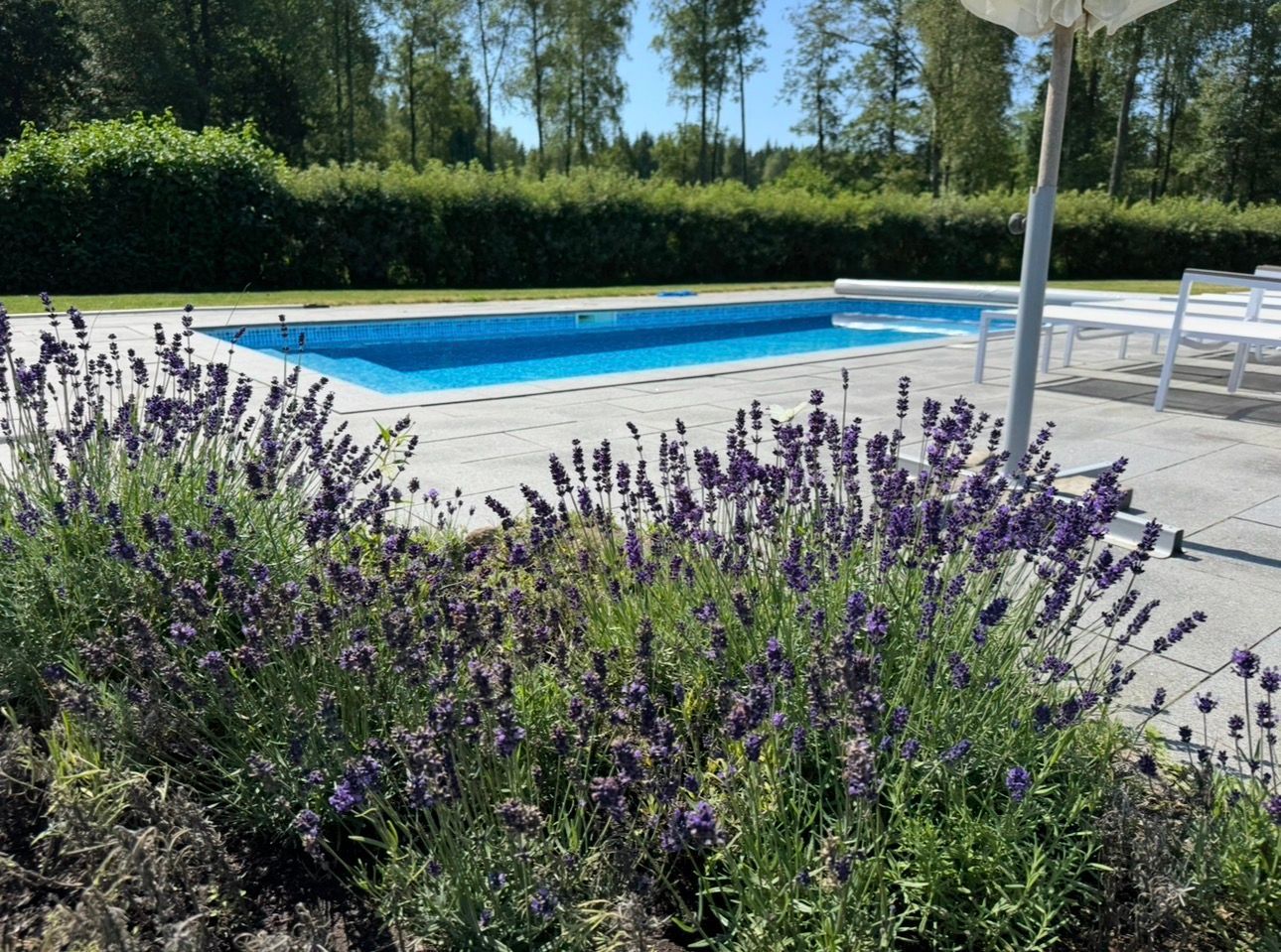 Privat sekelskiftespärla med pool och tennisbana – bild 6 av 24