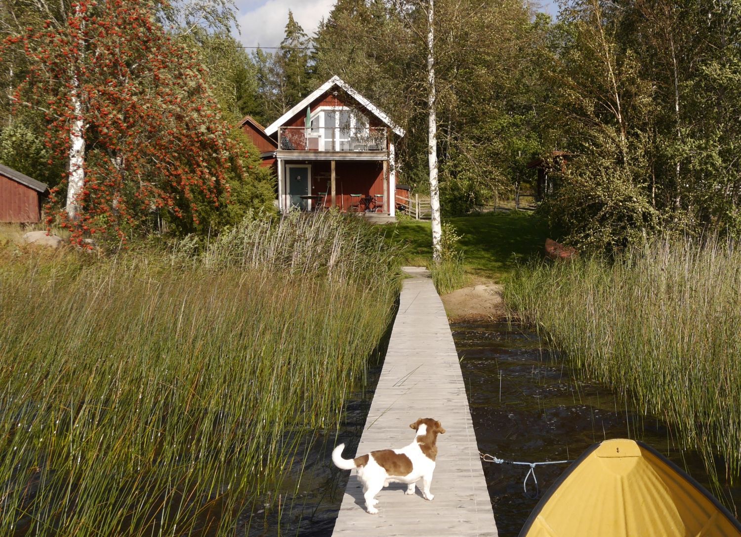 Ett litet paradis 27 km från Kolmårdens djurpark – bild 4 av 24