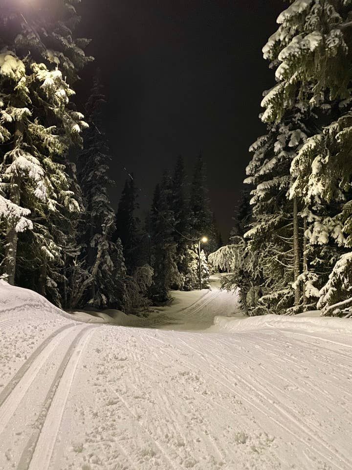 Ski in/ski out lägenhet i Sadeln – bild 12 av 14