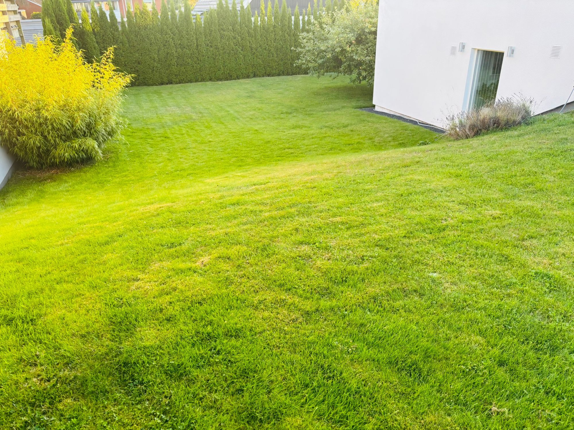 Modern stor & ljus villa - nära centrum – bild 21 av 23