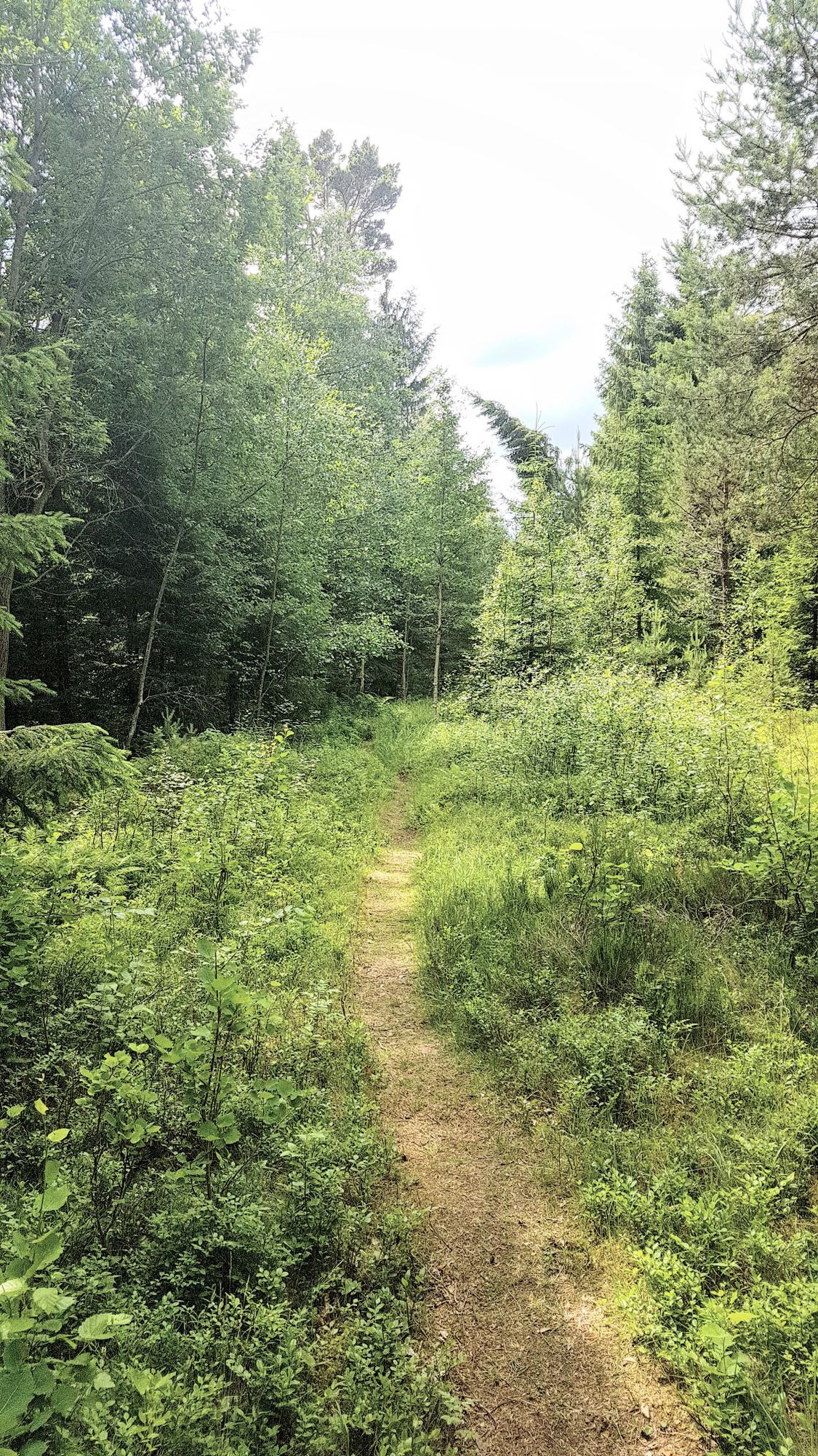 Sommarhus i skärgården – bild 24 av 24