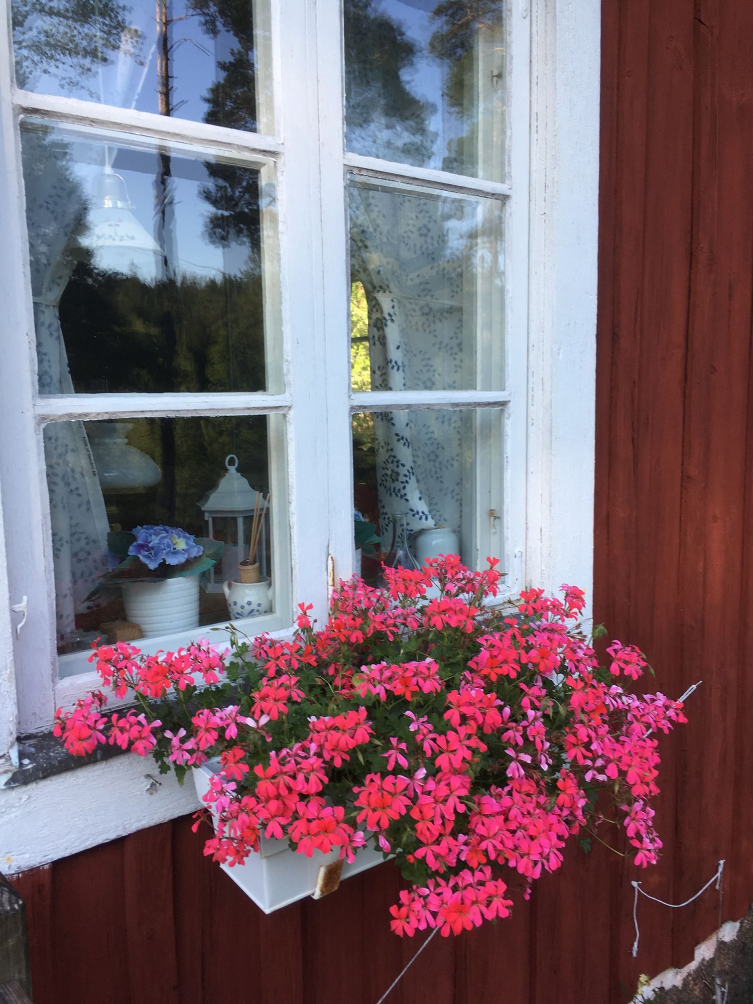 Röd stuga i Småland m egen brygga och roddbåt – bild 15 av 24
