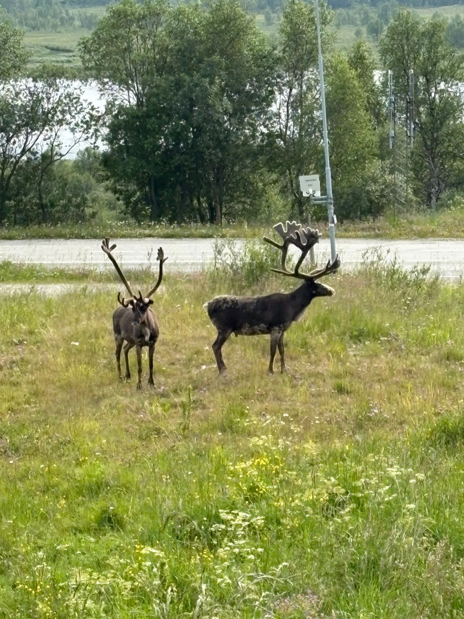 Funäsfjällen-Tänndalen-bästa skidorten – bild 17 av 21