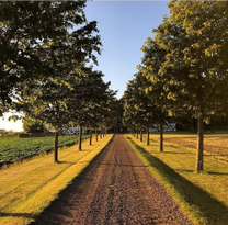 Lantligt sommarboende i Kullabygden