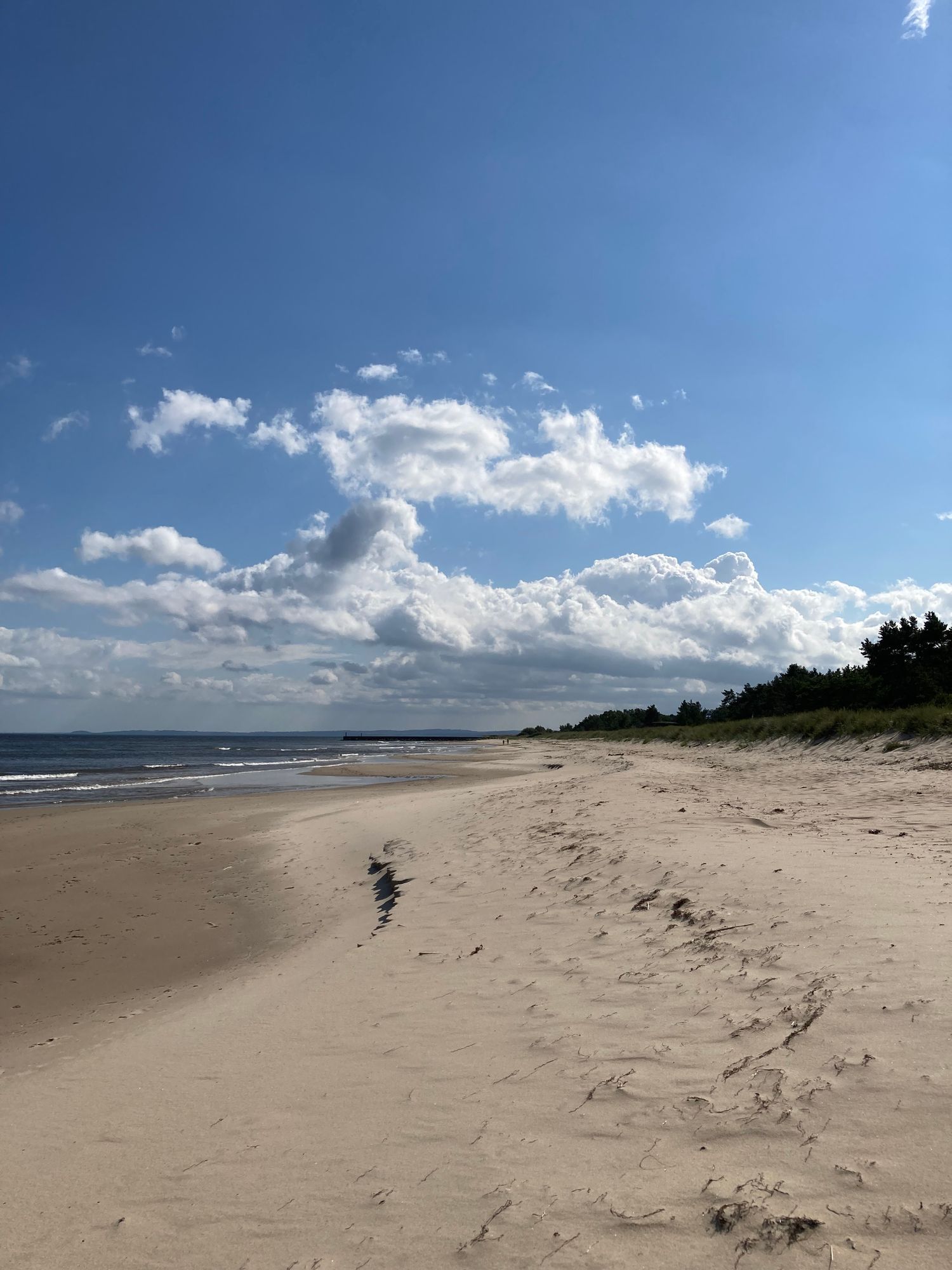 Stuga nära havet