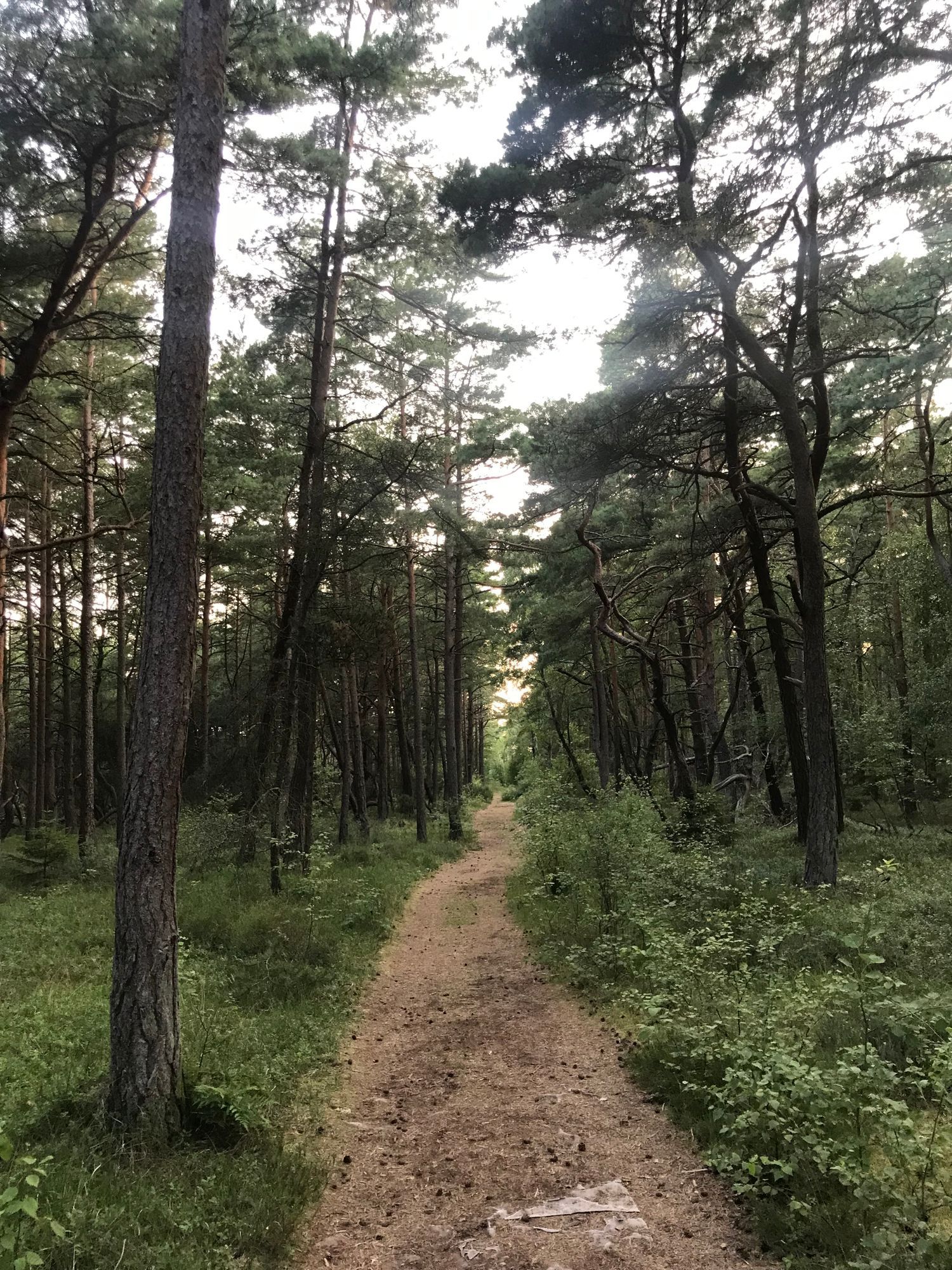 Haverdal - precis vid naturreservat och sandstrand – bild 15 av 16