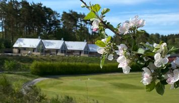 Andelshus med fantastisk vy över Djupadal golfbana