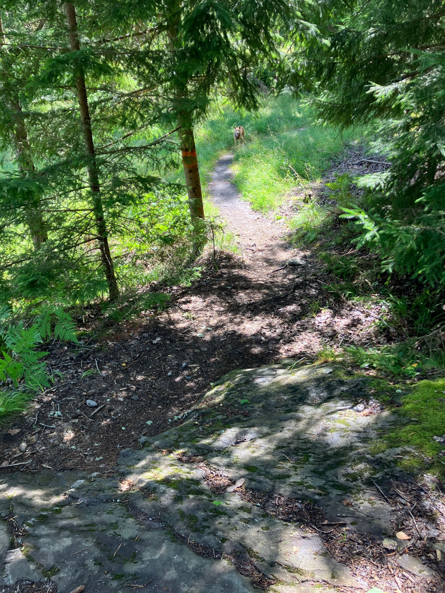Stuga nära havet – bild 13 av 22