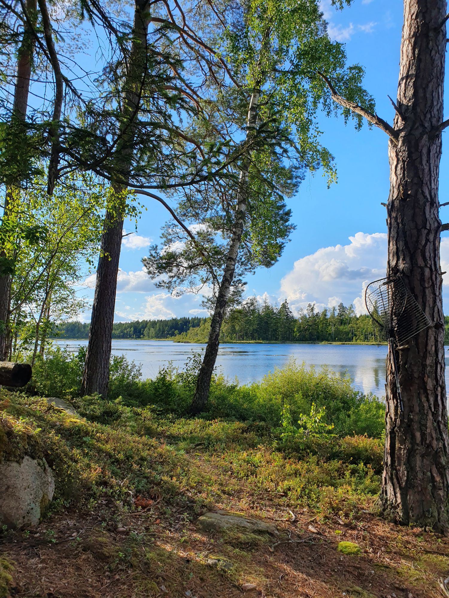 Stuga i Småland nära sjö med badtunna och leklada – bild 21 av 23