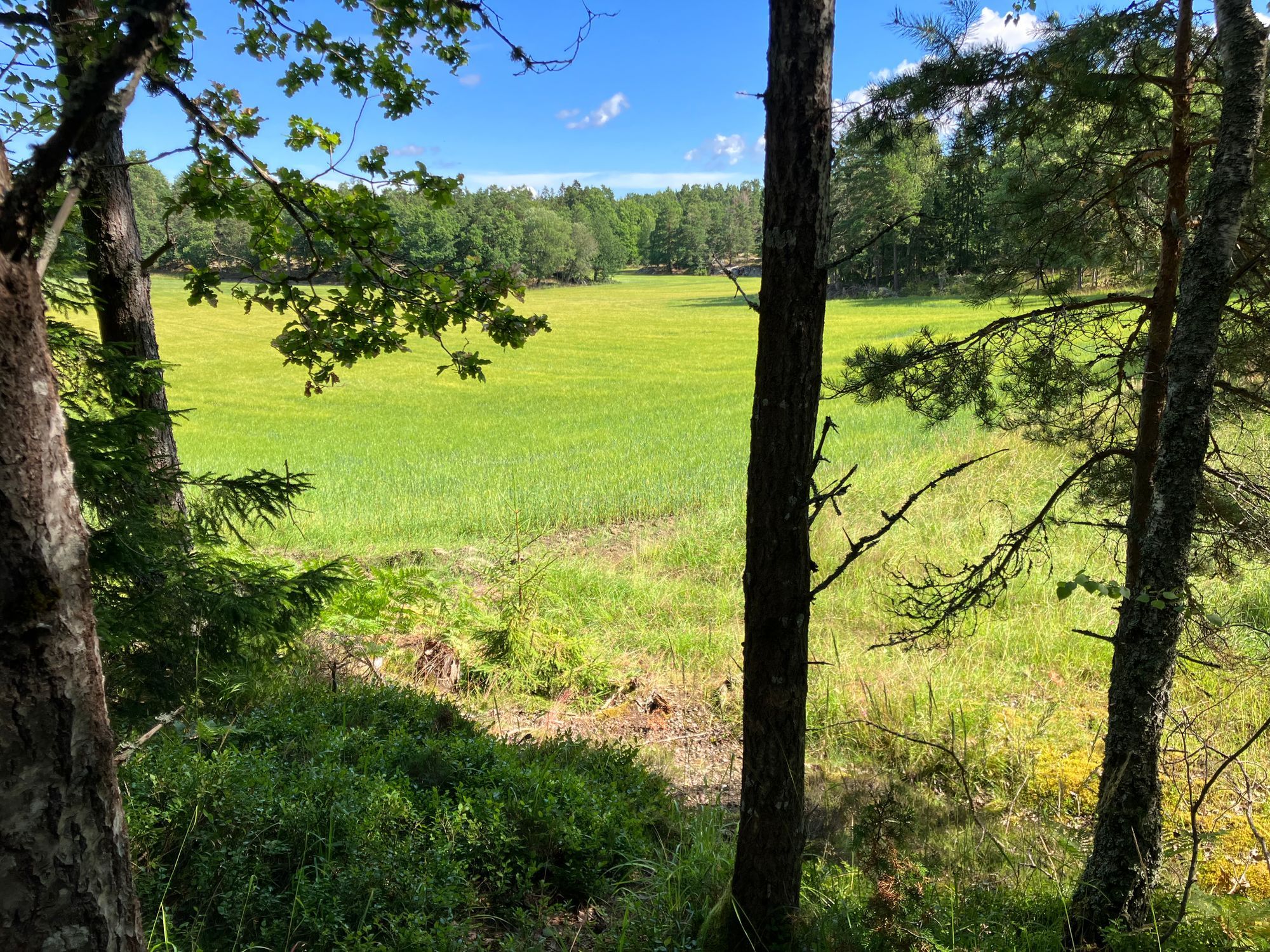 Stuga nära havet – bild 14 av 22