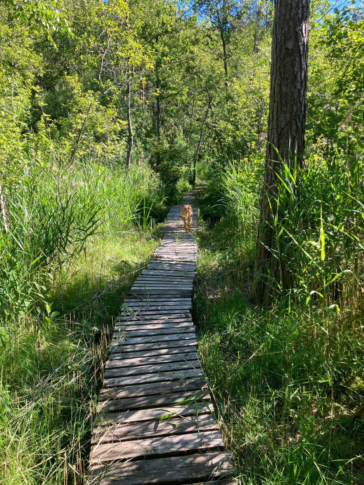 Stuga nära havet – bild 12 av 22