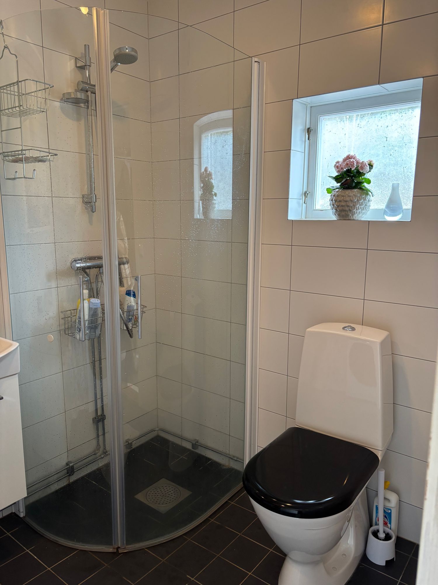 Ostörd idyll på gammal mindre gård – bild 11 av 19