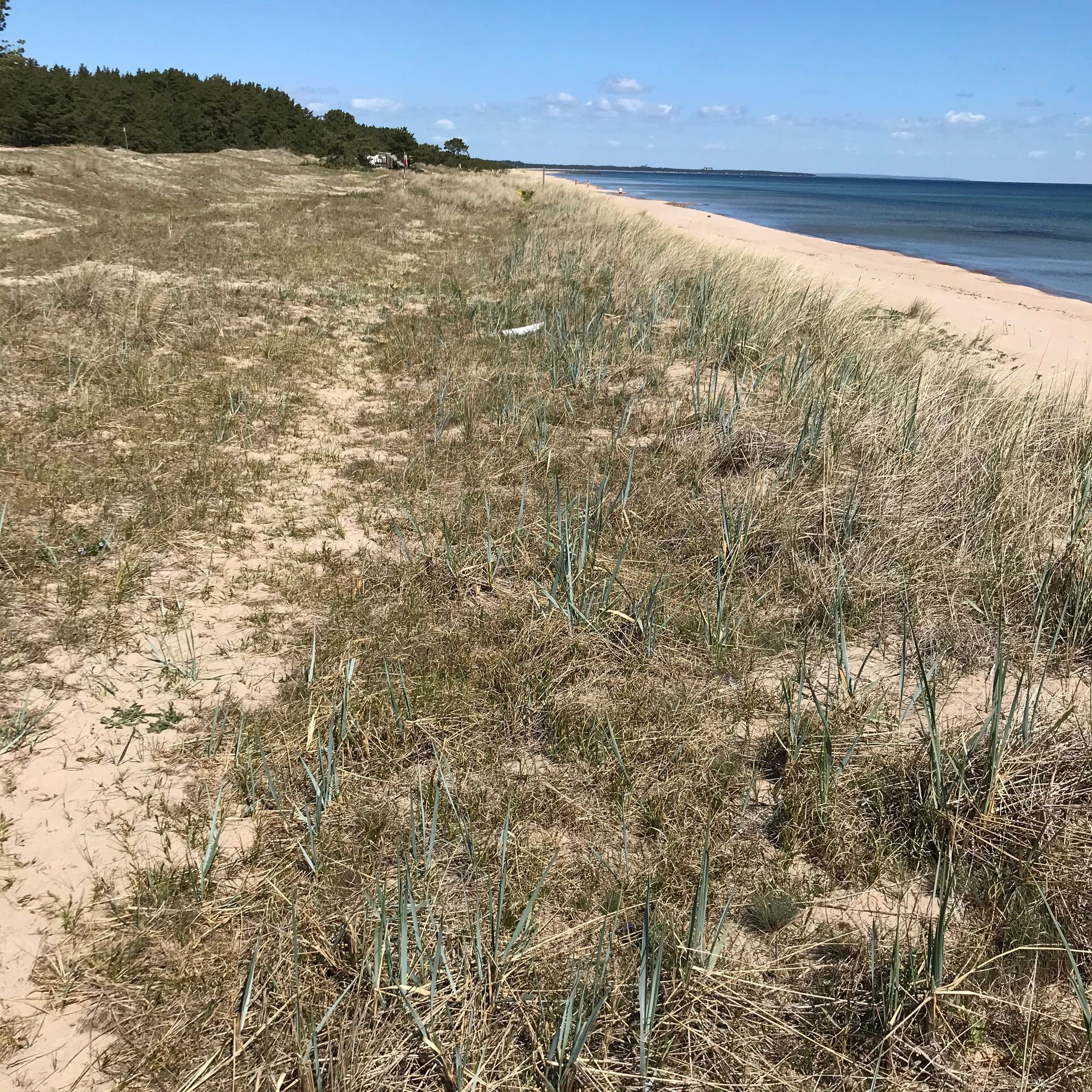 Stuga med havsläge i Furuboda Yngsjö Skåne – bild 24 av 24