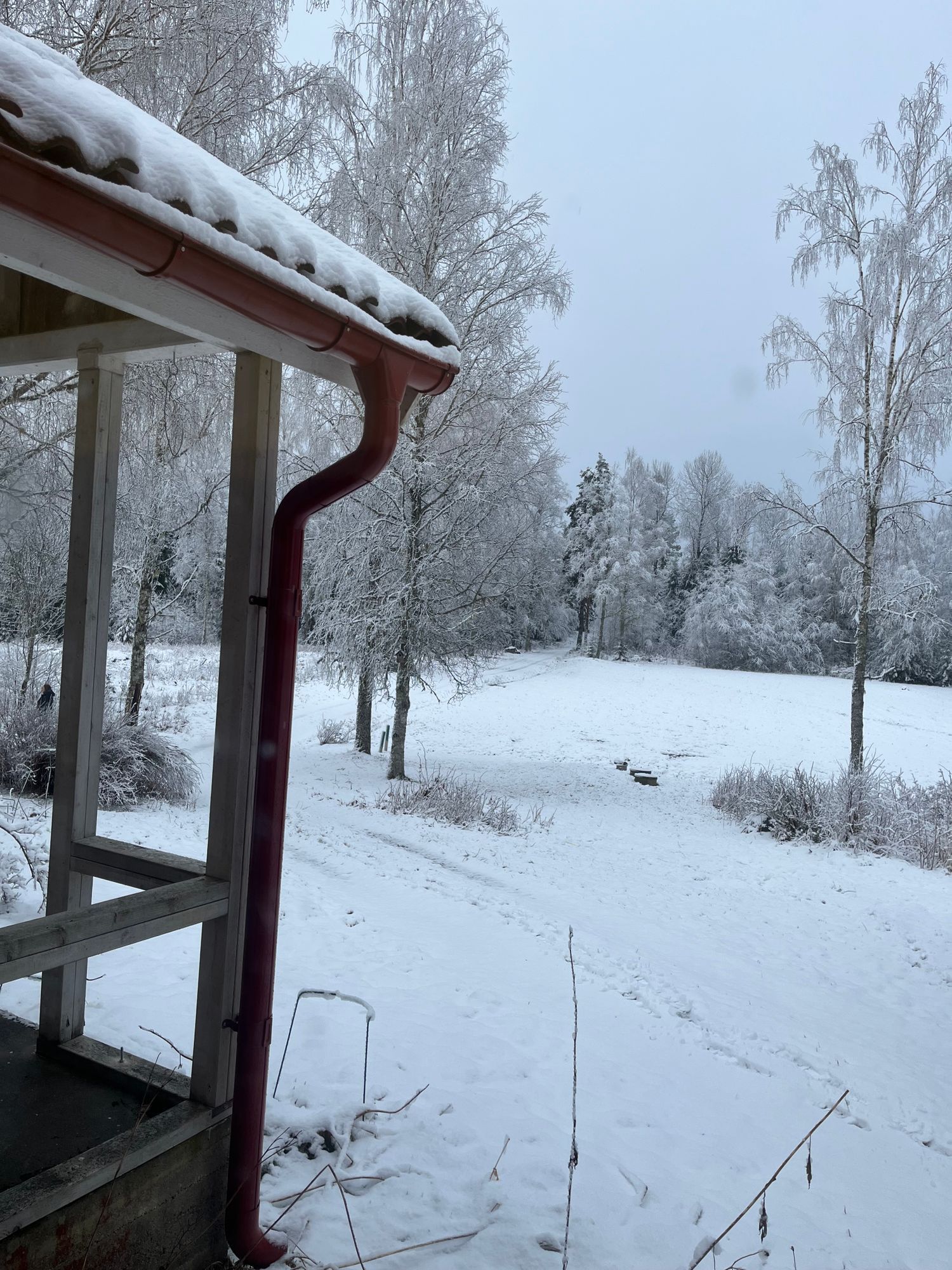 Ostörd idyll på gammal mindre gård – bild 3 av 19