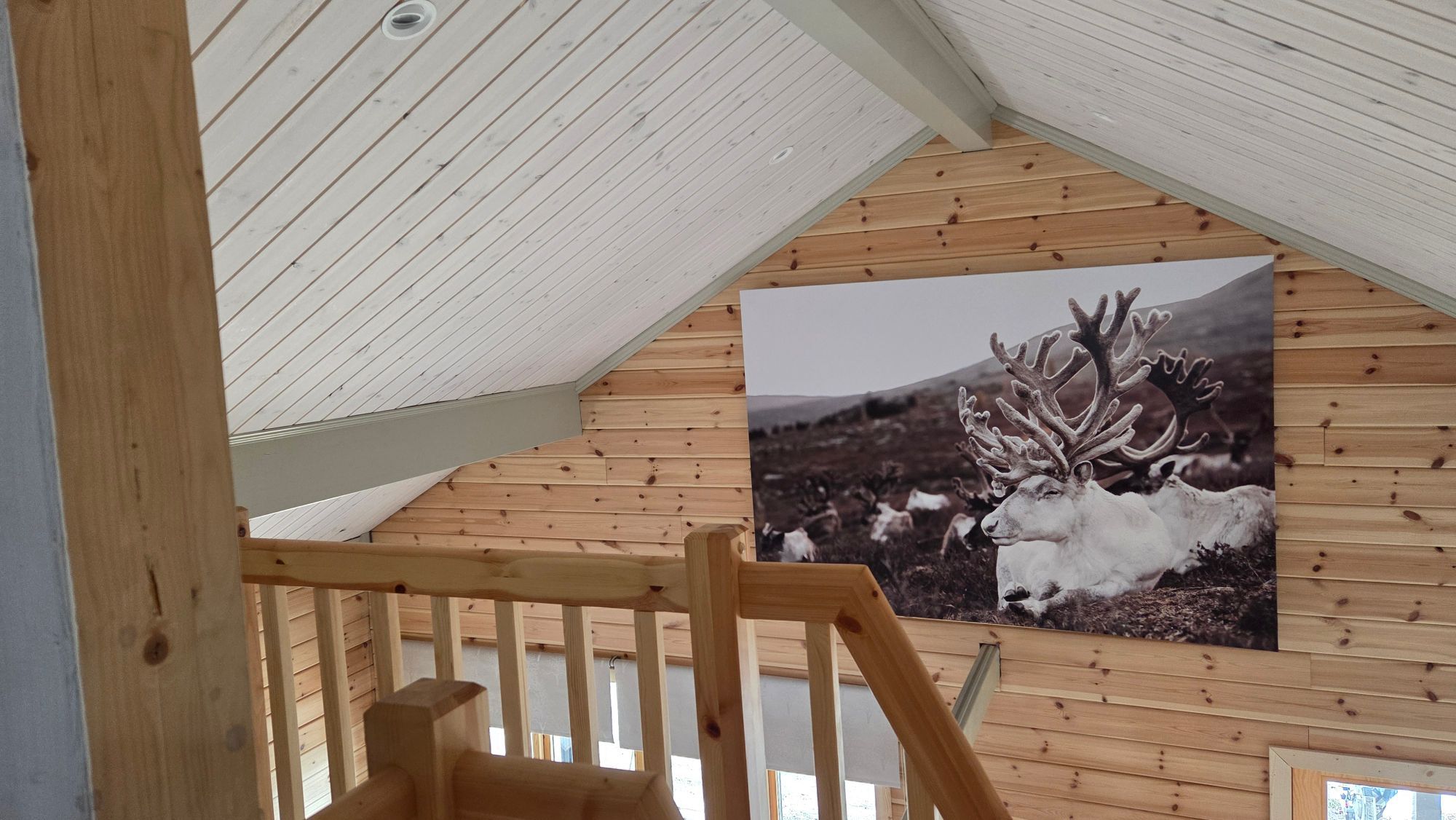 Jukta Lodge. Nybyggd timrat stuga i Juktådalen – bild 6 av 20