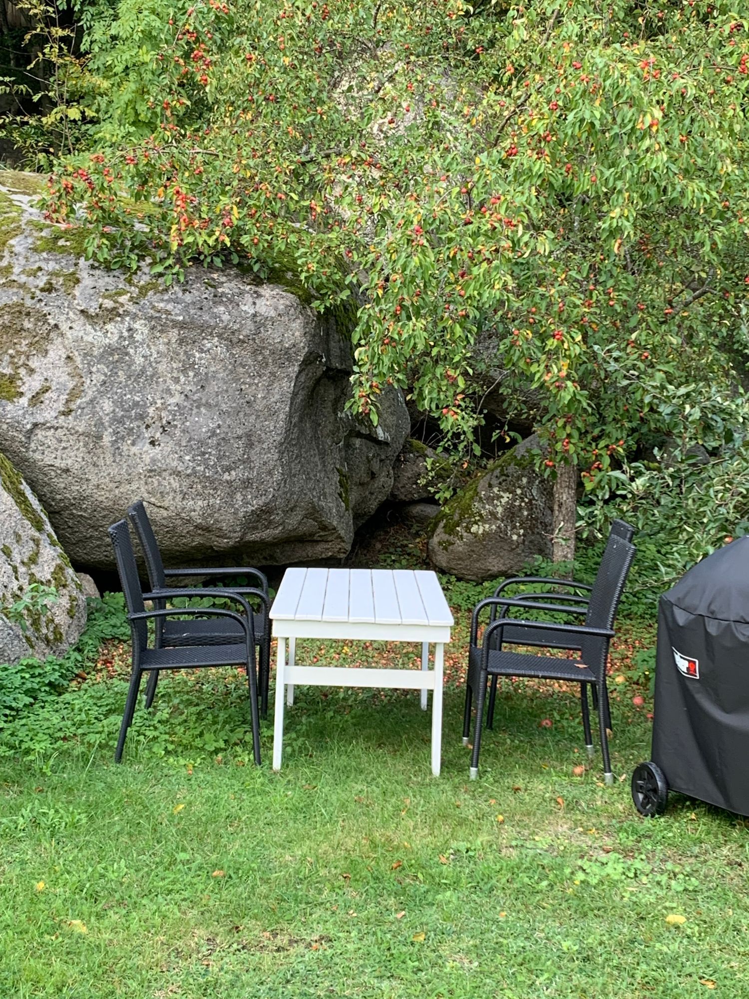 Boende vid råbelövsjön – bild 16 av 19