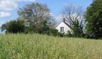 Charmig stuga nära naturen Ystad och stranden