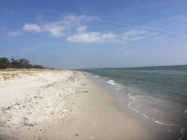 Schönes Sommerhaus am Strand in Bingsmarken