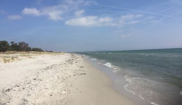 Mysig stuga i Bingsmarken vid en fantastisk strand