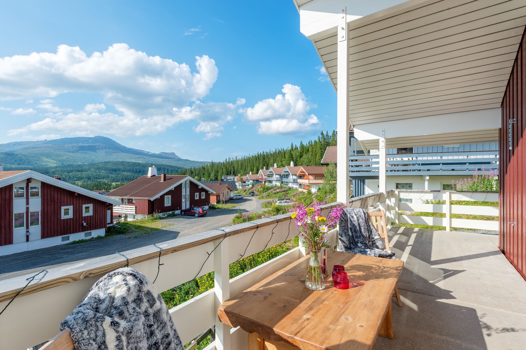Sommar i Årefjällen
