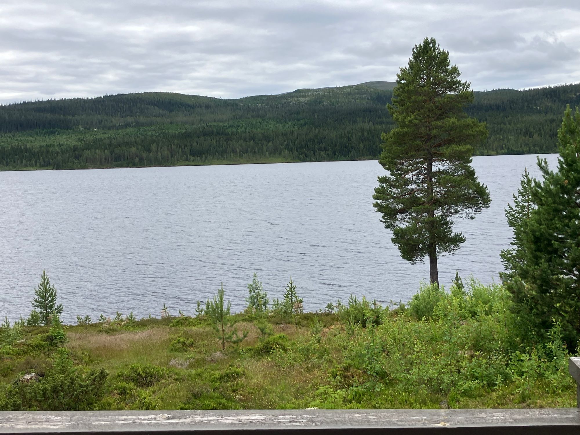 Hus i Lofsdalen – bild 14 av 18