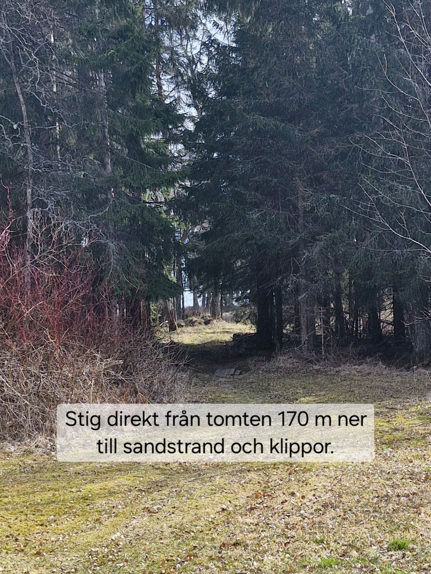 Havsnära fritidshus i Grisslehamn, 10-personer. – bild 7 av 24