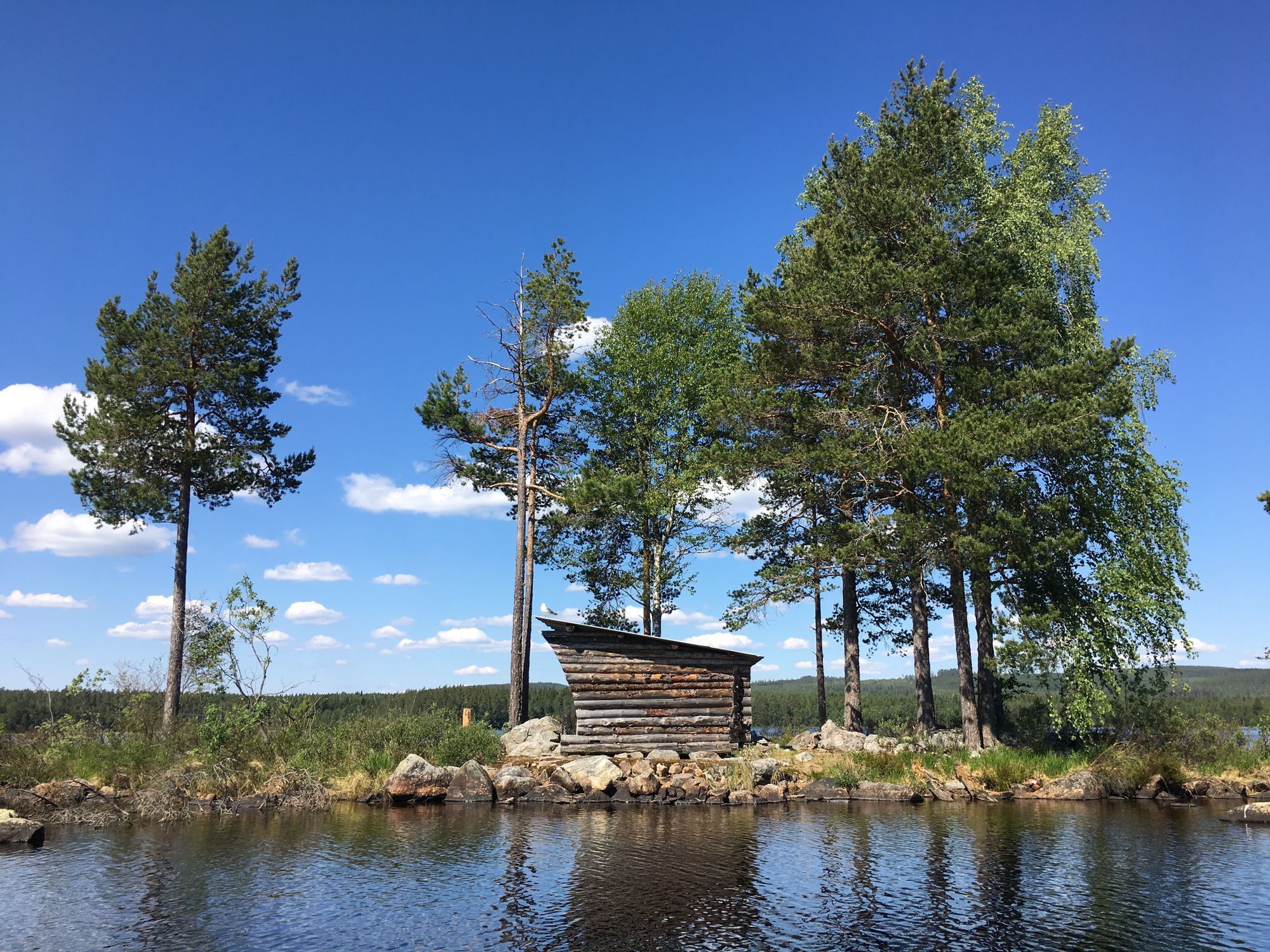Sjötomt, roddbåt & bastu i lantlig skogsmiljö. – bild 23 av 24