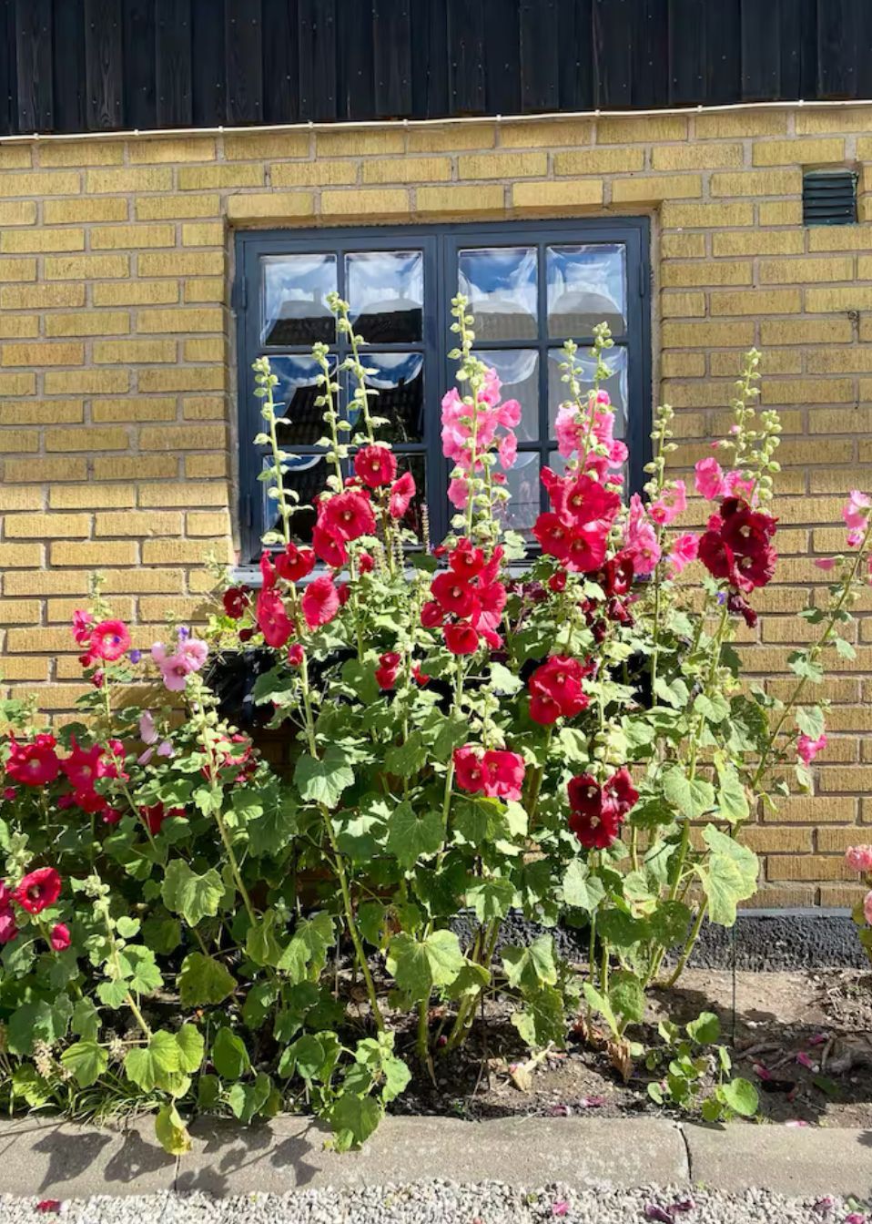 Mysigt hus på landet med närhet till stan. – bild 14 av 18