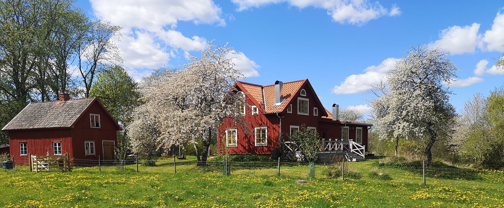 Rogivande boende i 1800-talsmiljö – bild 3 av 24