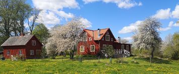 Soothing dwelling in 18th century environment