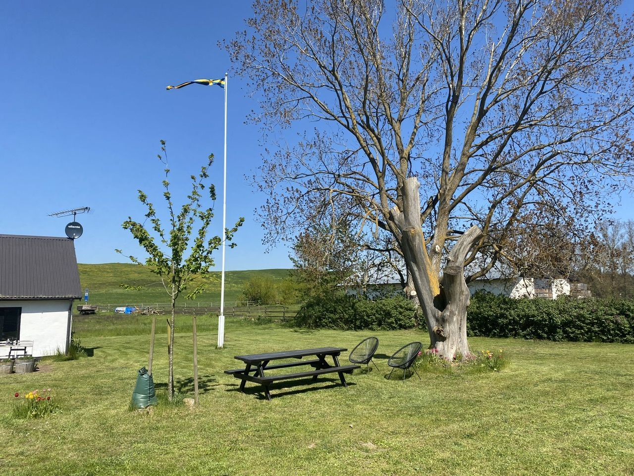 Gård nära Ale Stenar och havet – bild 7 av 19