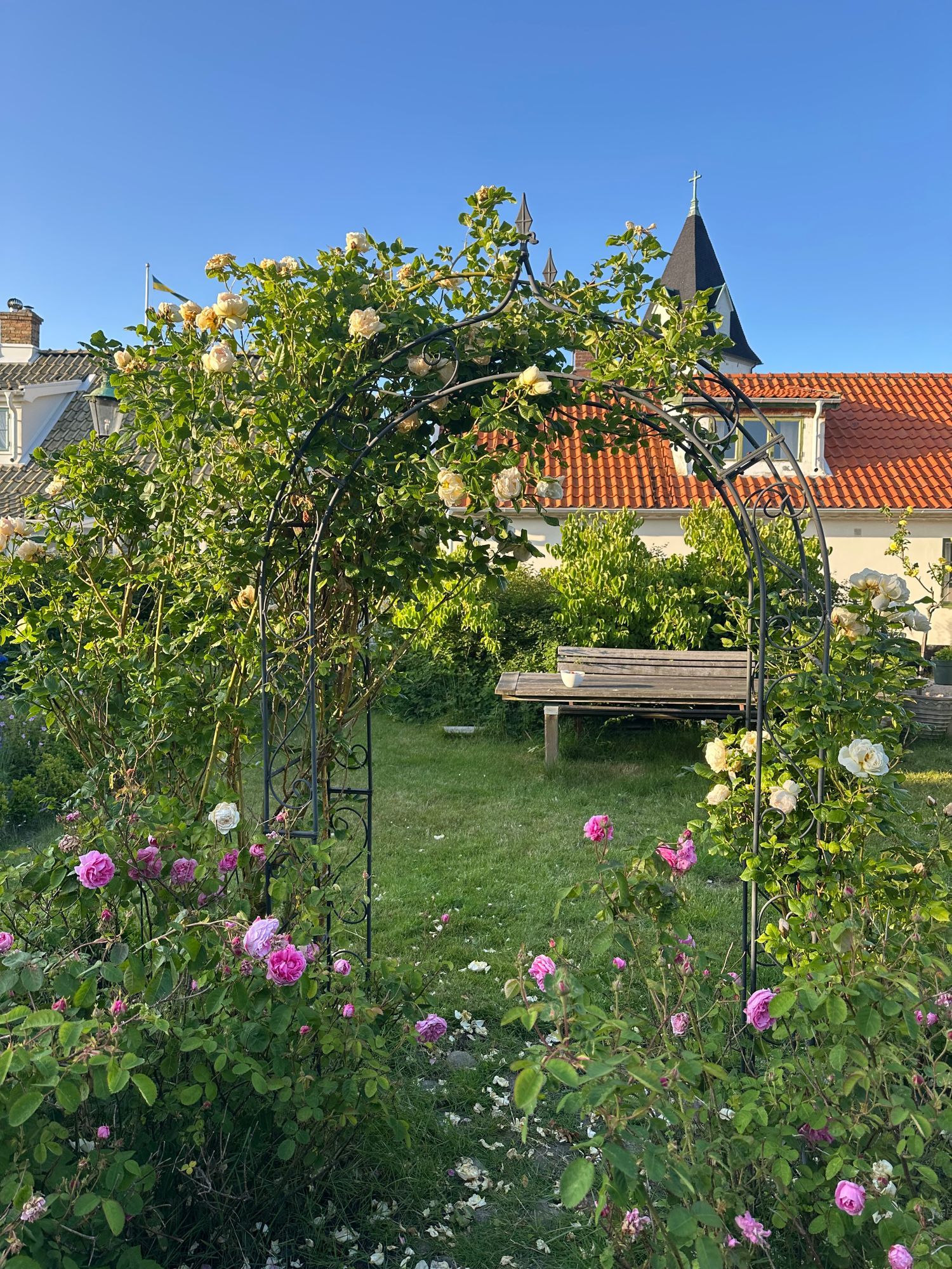 Charmigt gathus nära havet – bild 3 av 22