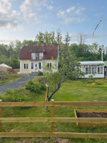 Charming newly renovated 30's house near nature