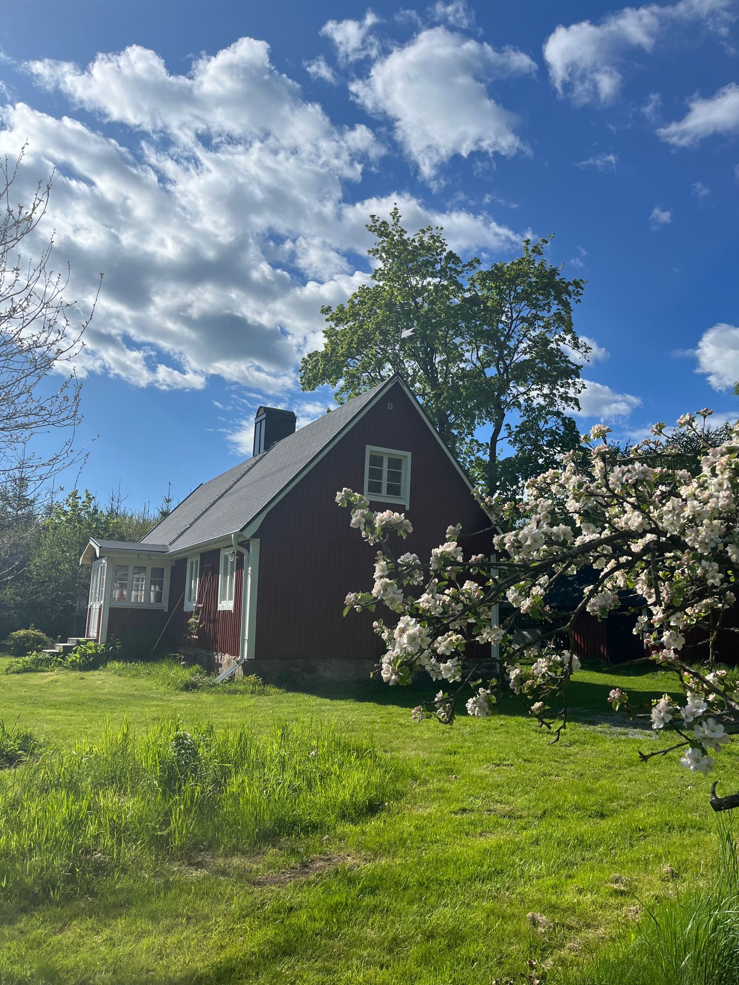 Mysig stuga i NV Skåne