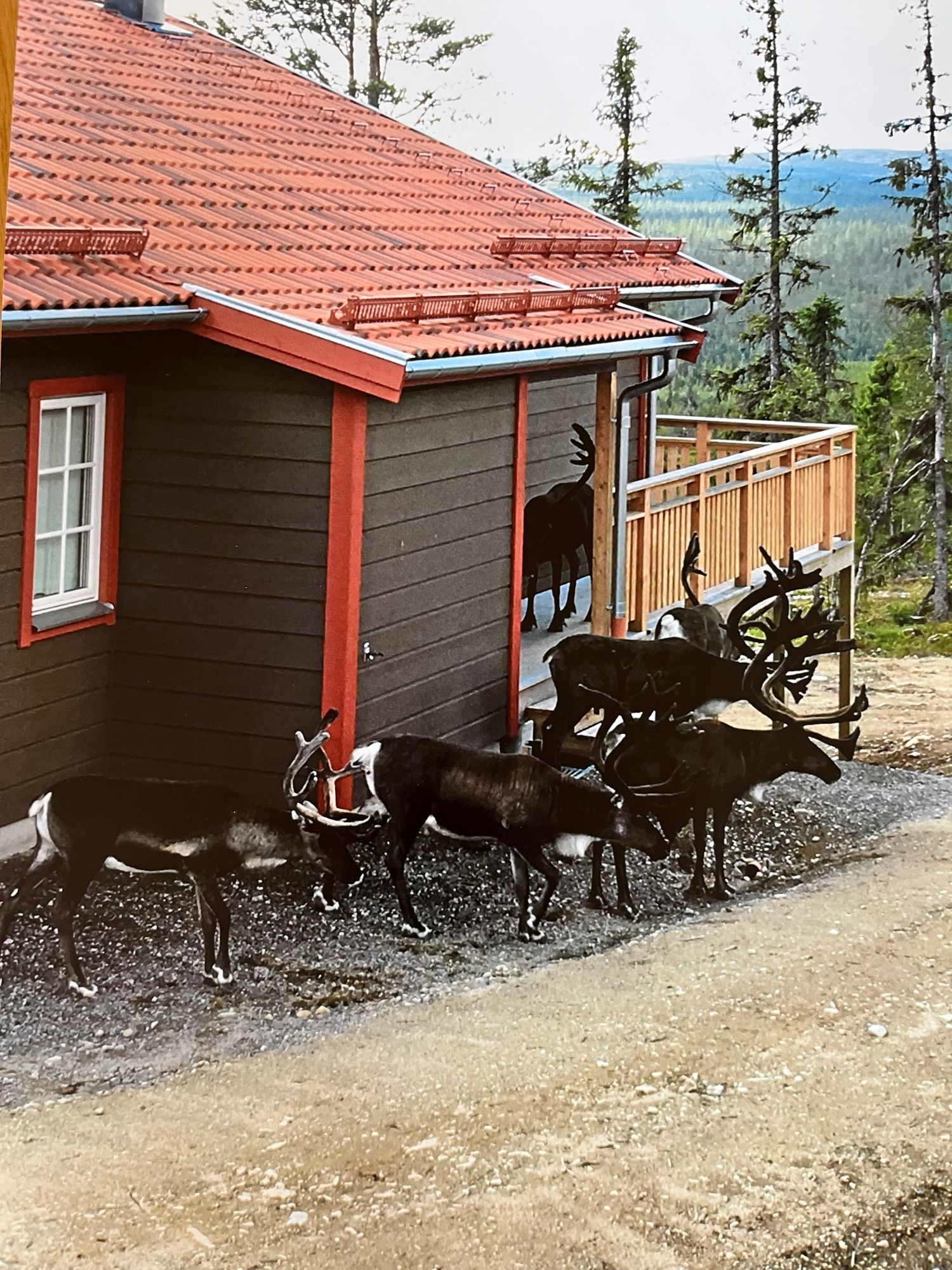 Välkommen till vår stuga i Sångbäcken, Vemdalen! – bild 18 av 24