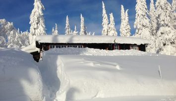 Mysig fjällstuga ski in/out m. Fageråsen/Trysil