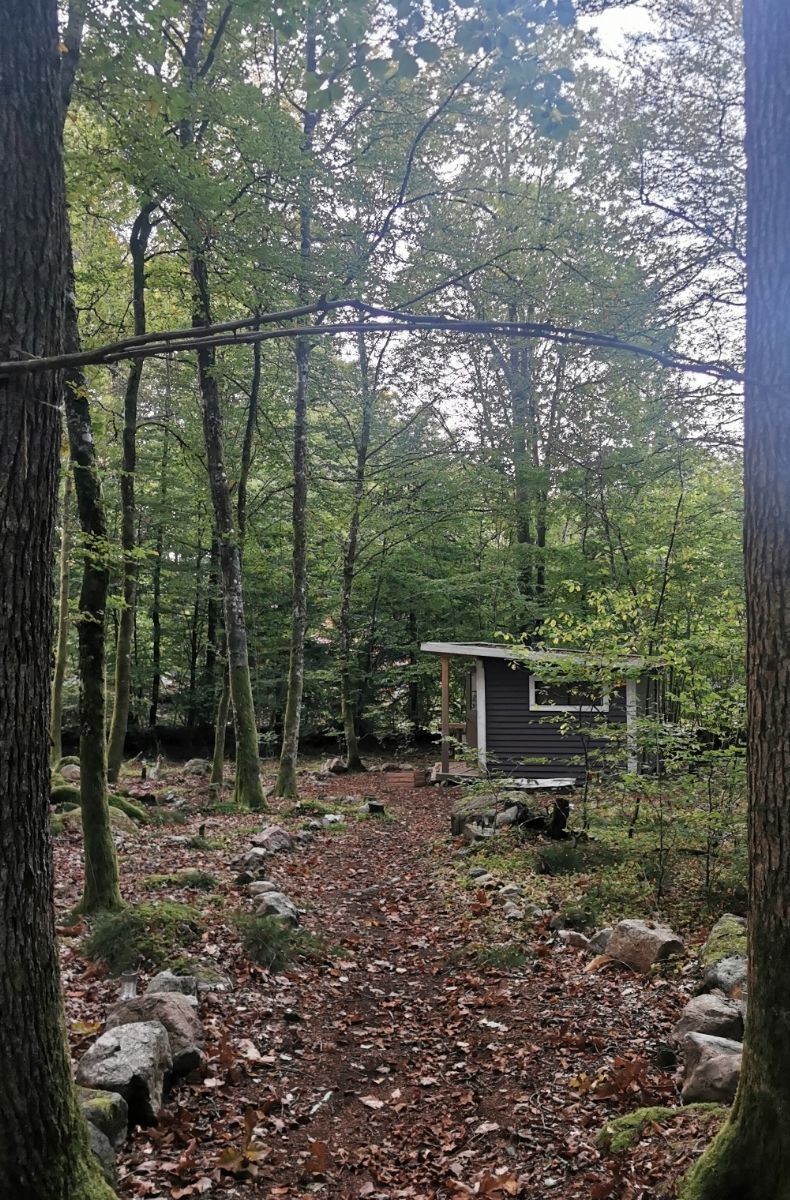 Mysig stuga mitt i bokskogen och stenkast från sjö – bild 22 av 24