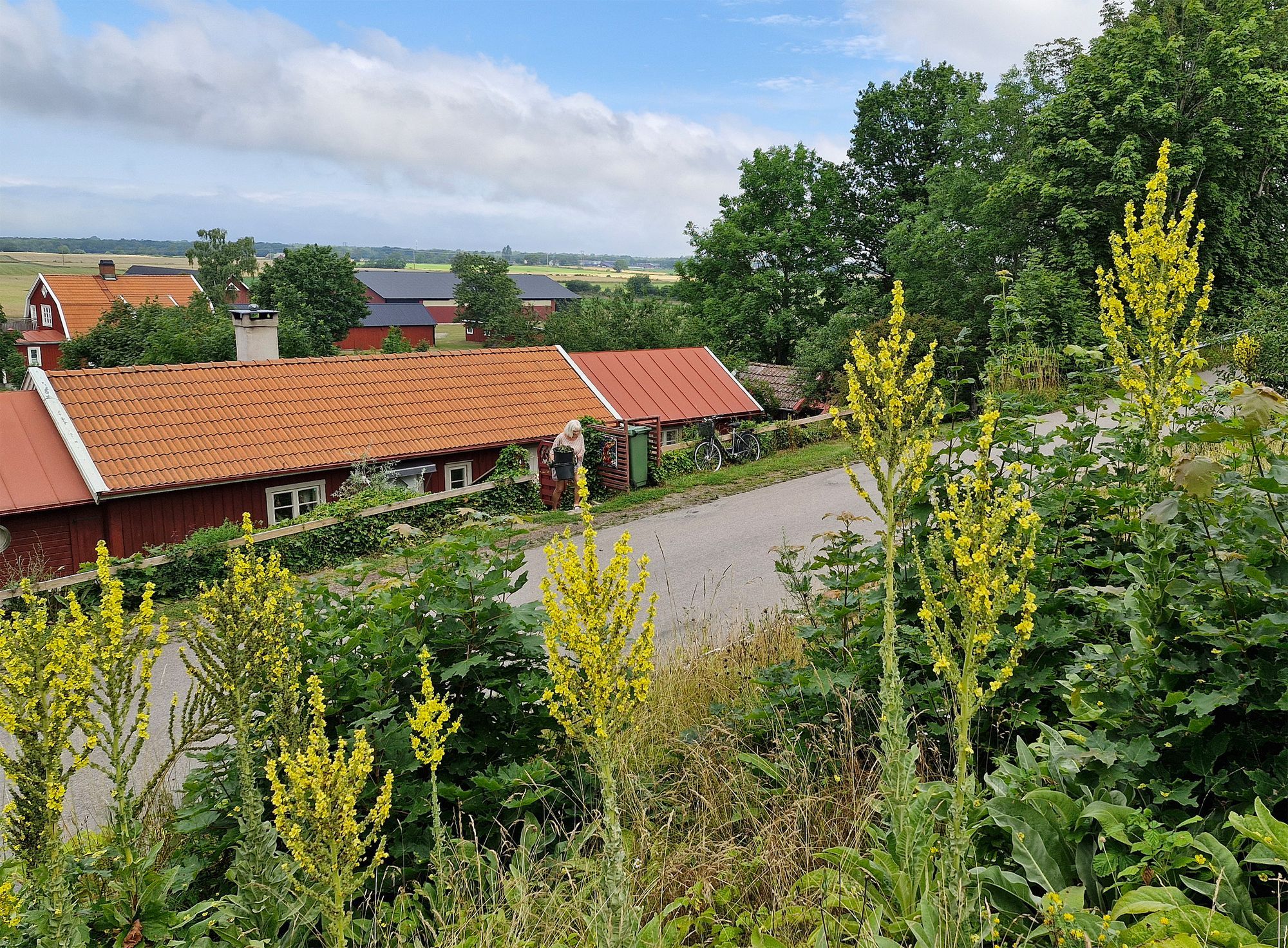 Unikt boende med 4 bäddar; utsikt över Kalmarsund – bild 4 av 24