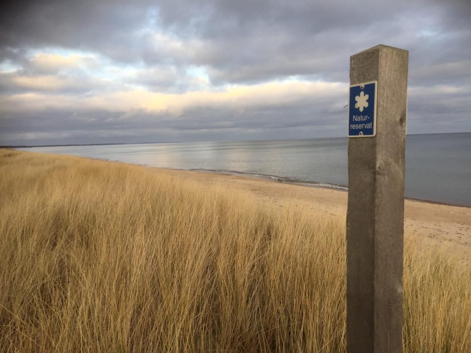 Furuboda 70 kvm, 8 bäddar, 300 meter till stranden – bild 6 av 24