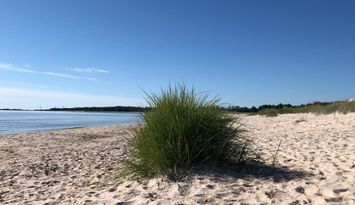 Mitt smultronställe i världen!