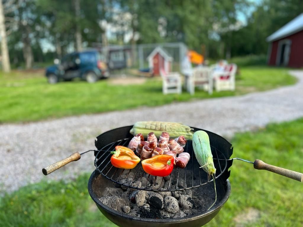 Bekvämt trähus vid skogsbrynet – bild 24 av 24