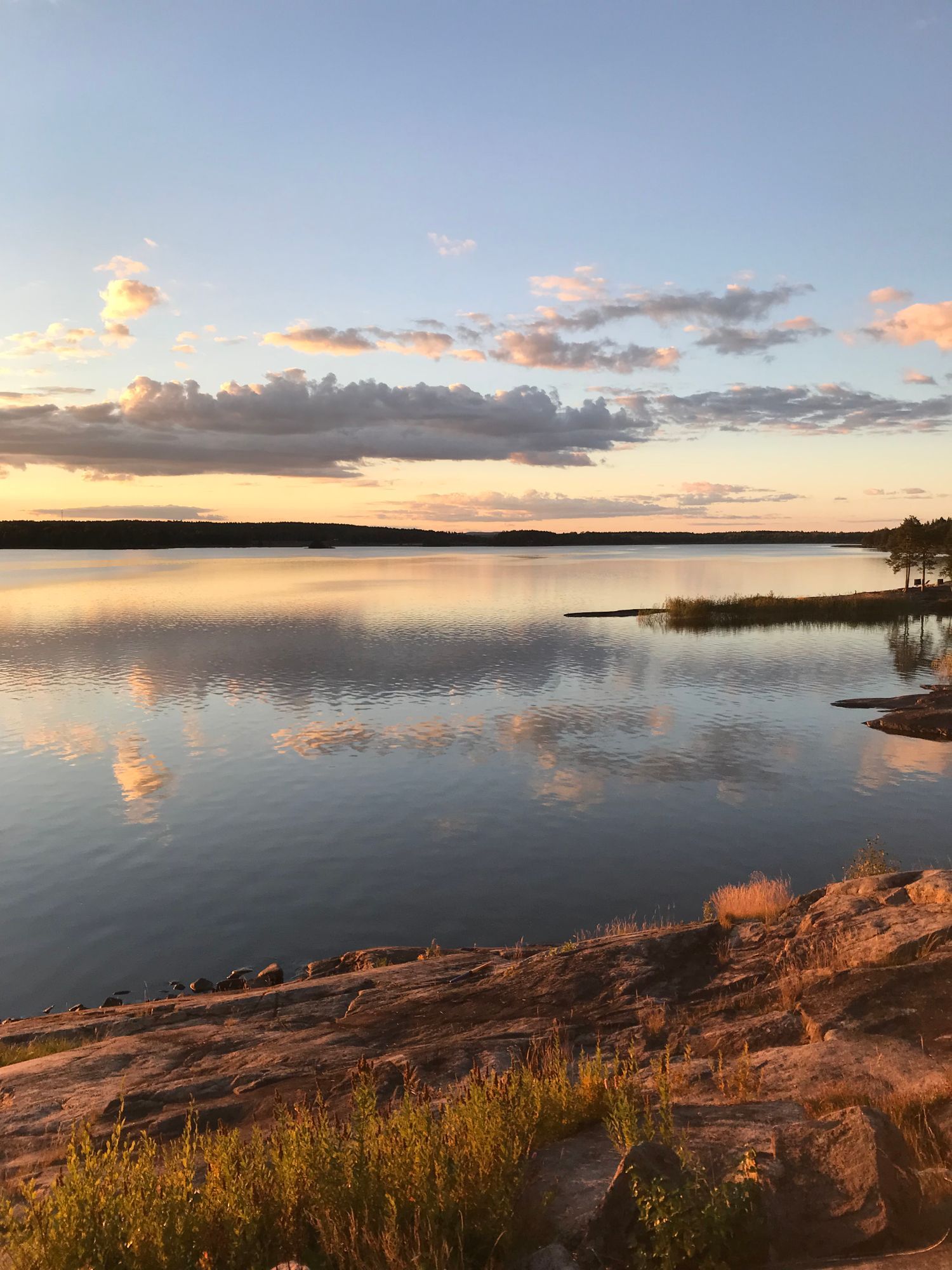 Sommaridyll vid sjö – bild 4 av 24