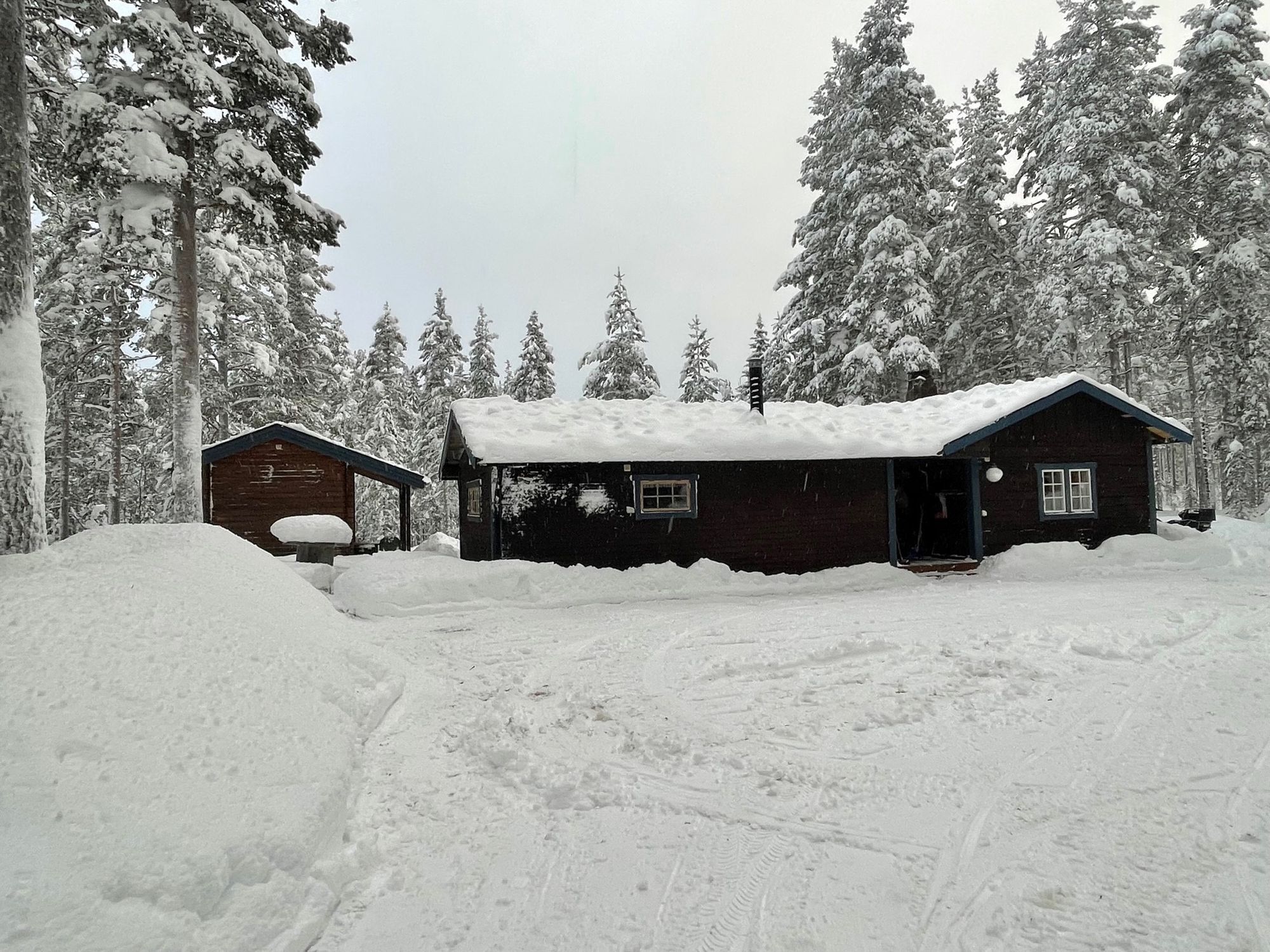 Fulufjället – bild 3 av 21