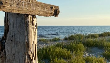 Sommarboende vid havet