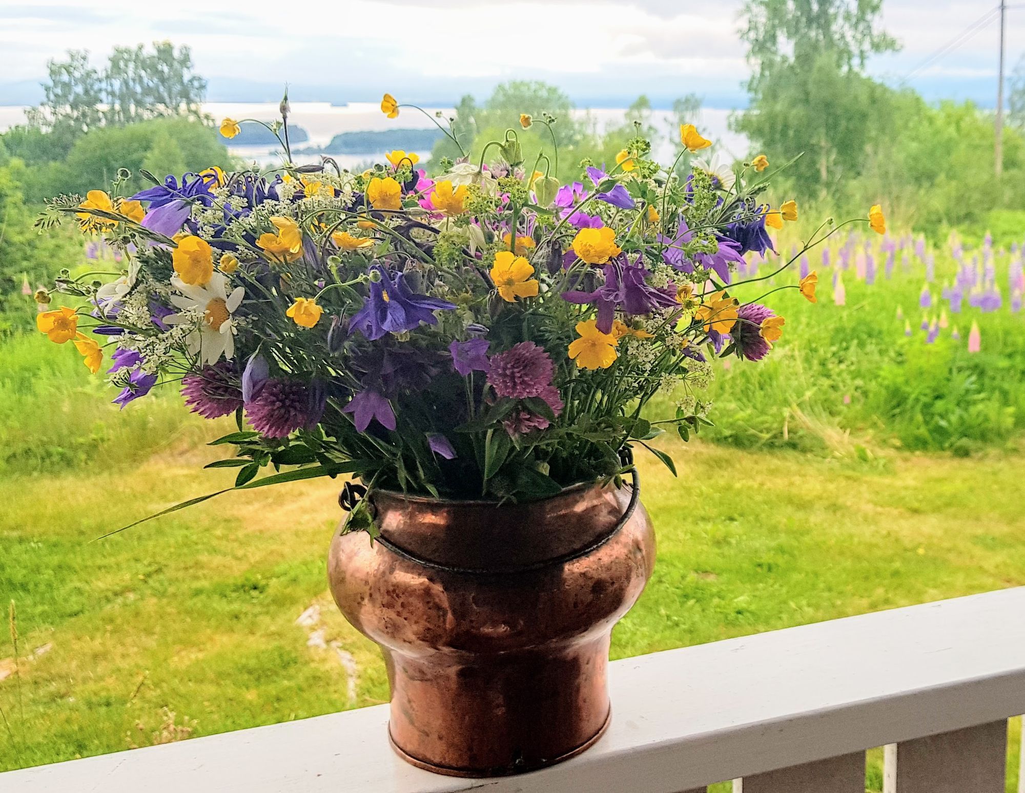 Stuga med fantastisk utsikt, Orsa, Dalarna – bild 5 av 15