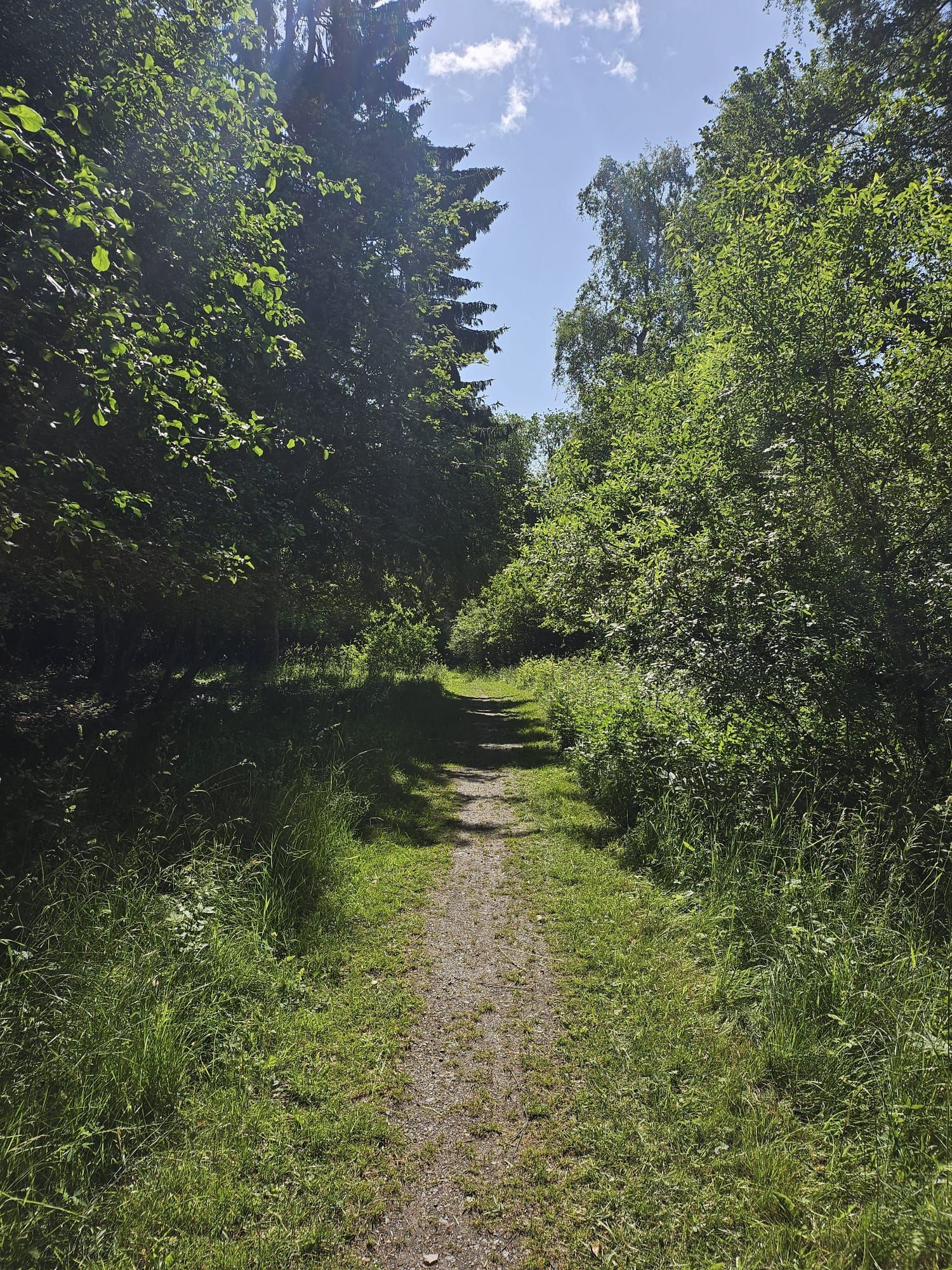 Torö - Skärgårdsstuga – bild 17 av 23
