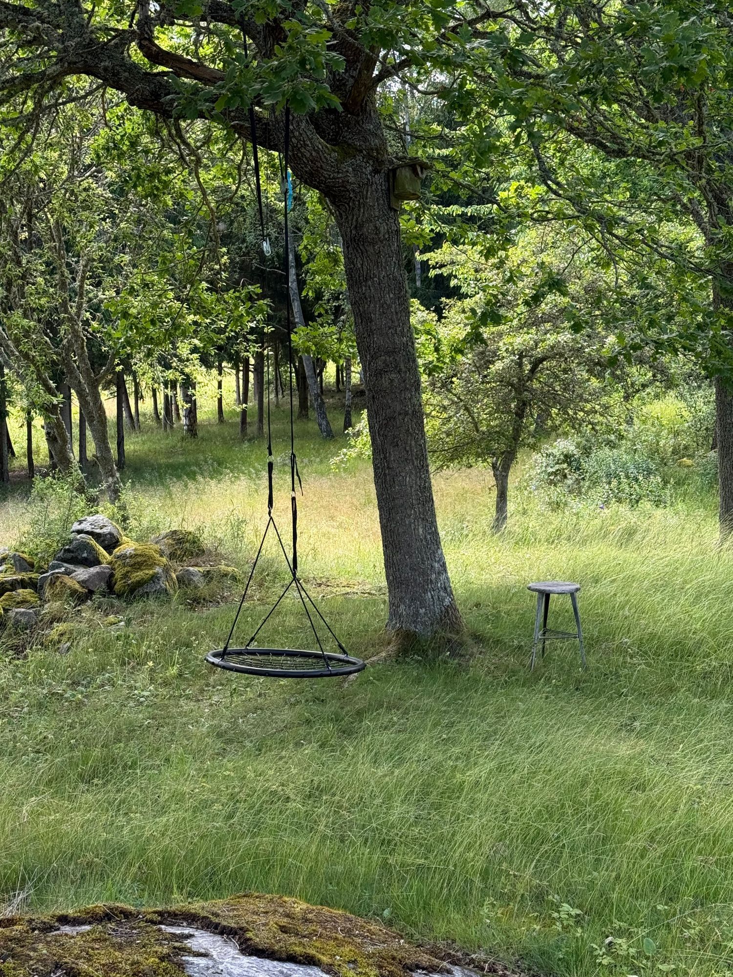 Torö - Skärgårdsstuga – bild 21 av 23
