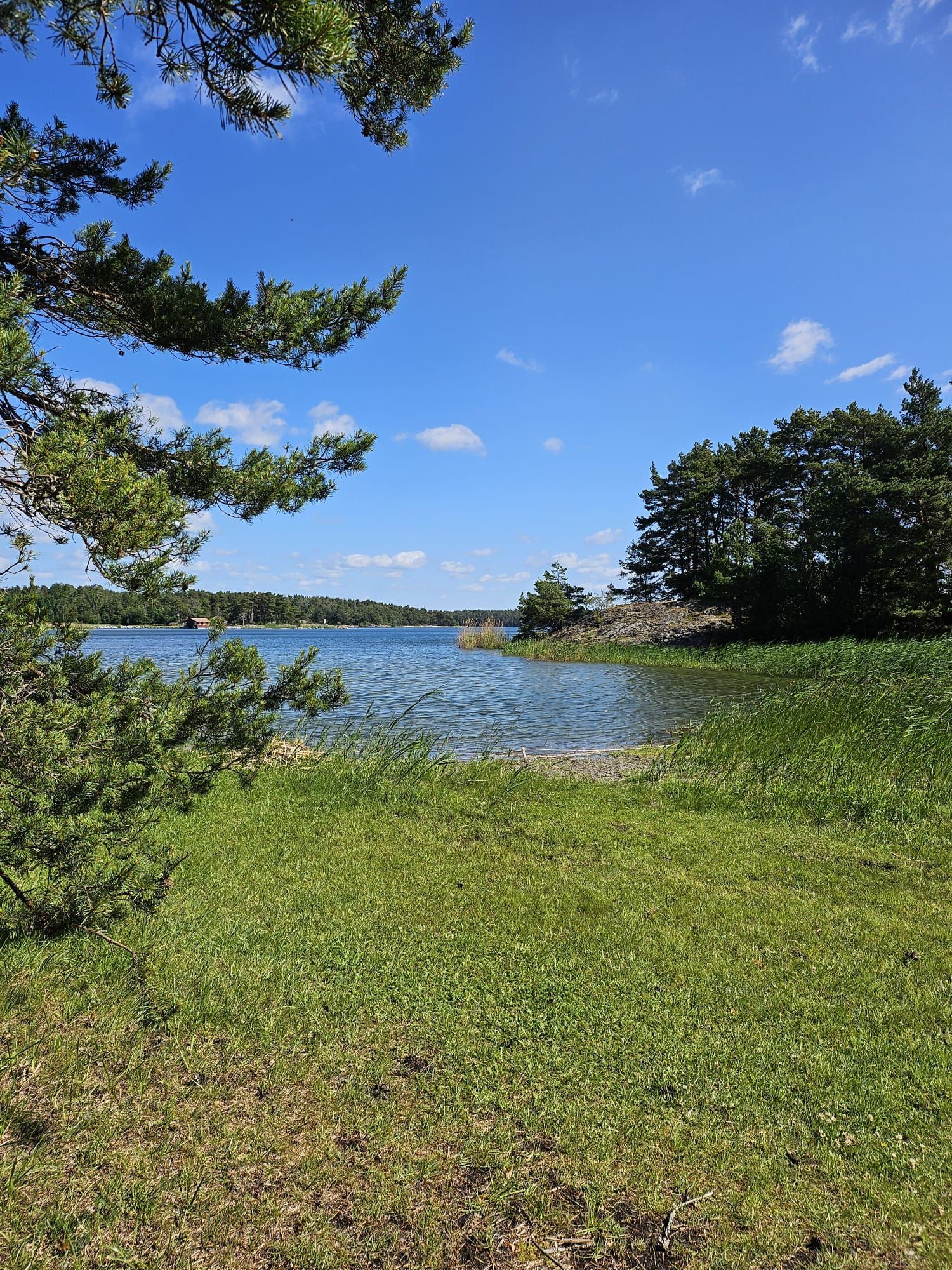 Torö - Skärgårdsstuga – bild 18 av 23